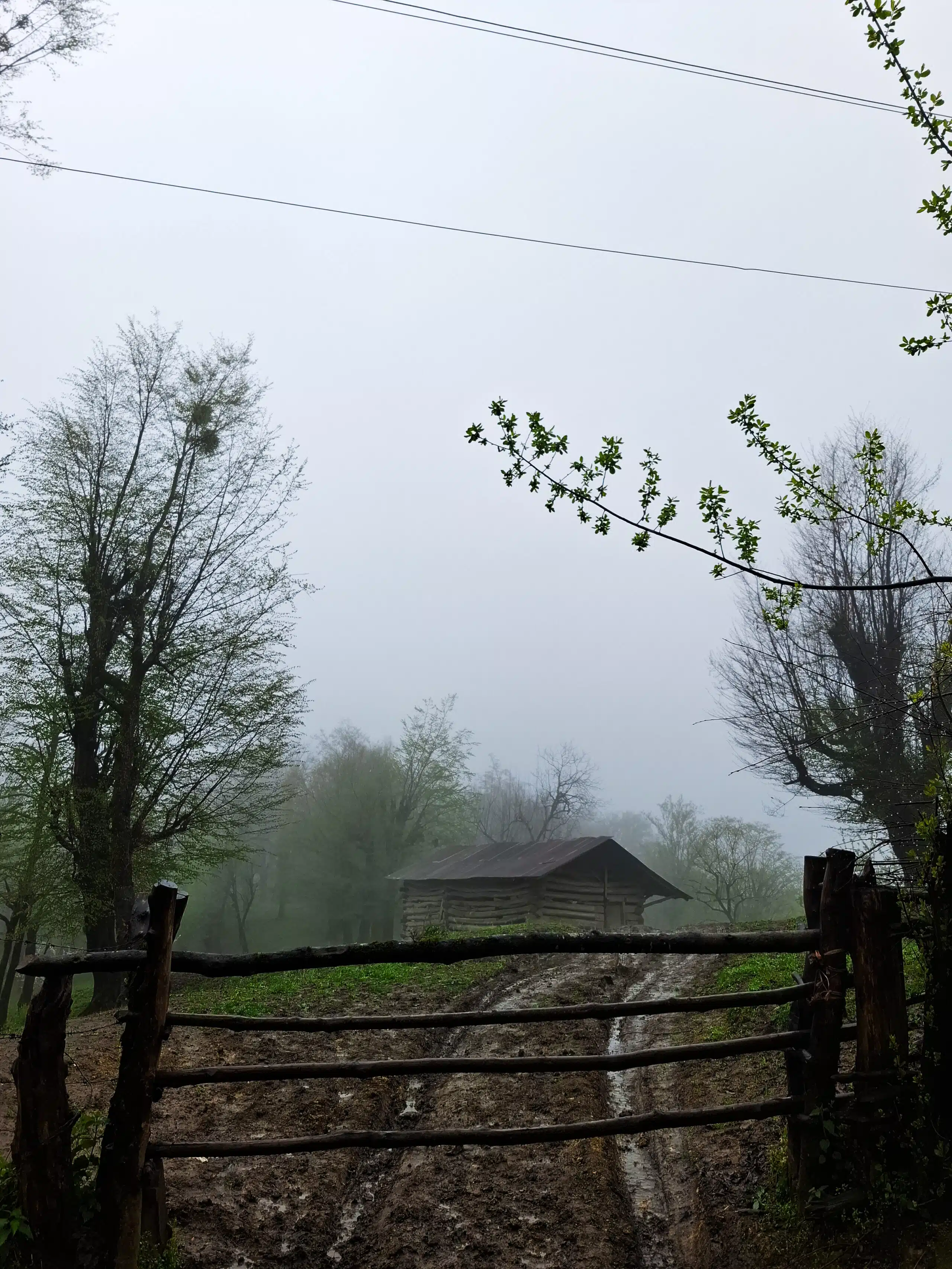 ییلاقی بکر